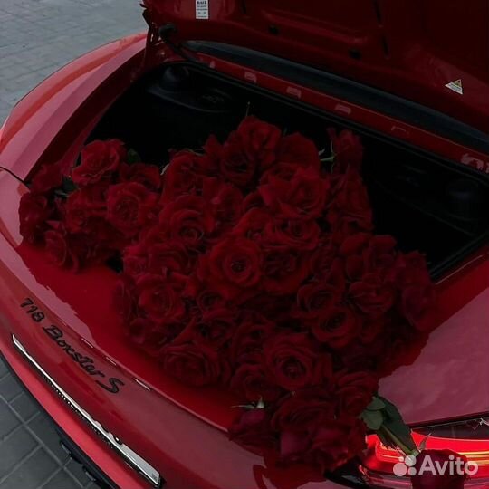 101 роза Цветы