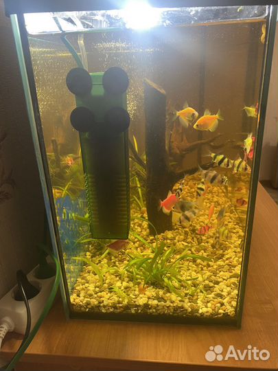 Акавариум