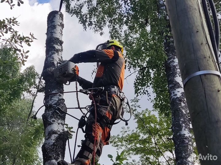 Спил деревьев на участке и расчистка участка от де