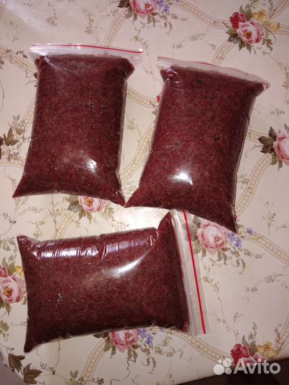 Корм для рыб Артемия