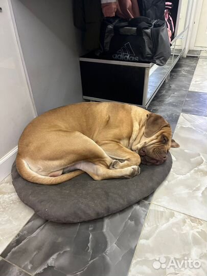 Бурбуль для вязки