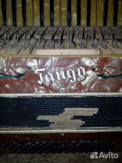 Аккордеон Танго