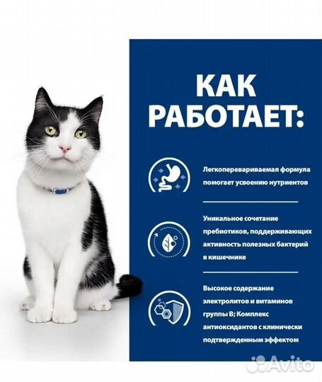 Влажный корм для кошек