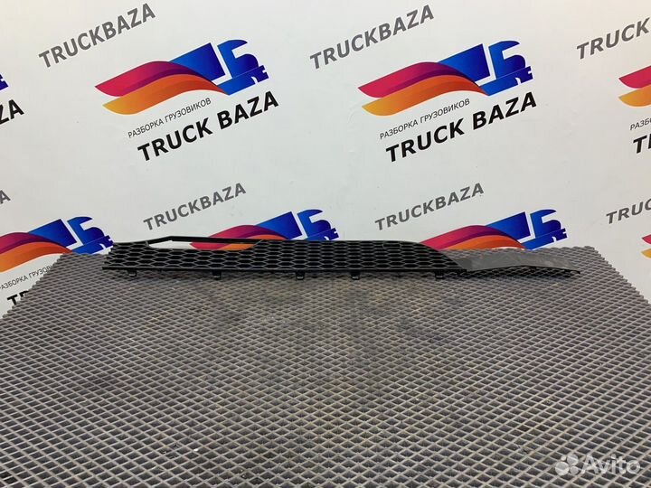 9437514818 Сетка решетки радиатора правая