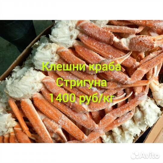 Краб стригун