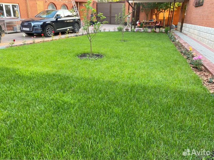 Укладка рулонных газонов под ключ