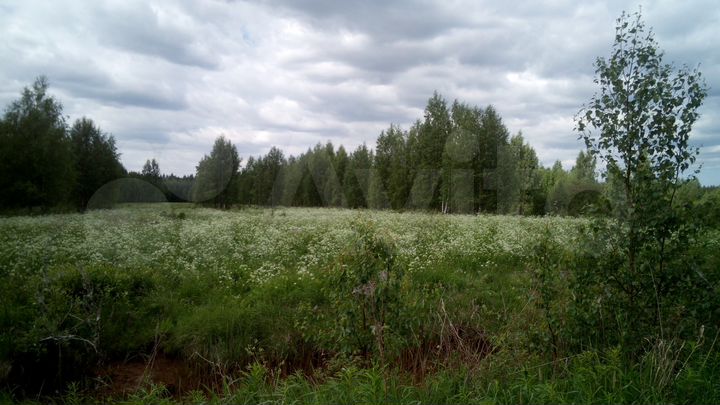 Участок 7,49 га (СНТ, ДНП)