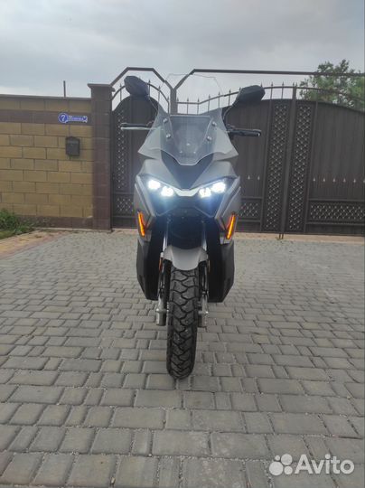 Макси. Новый