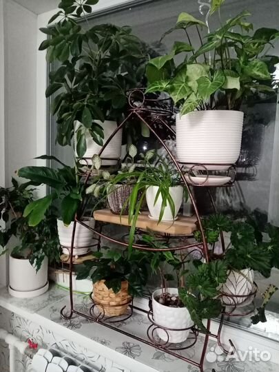 Стойка для цветов