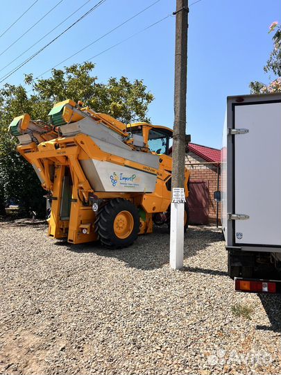 Уборка винограда комбайном