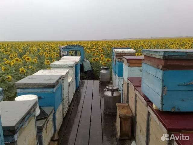 Площадка для перевозки пчëл, с будкой