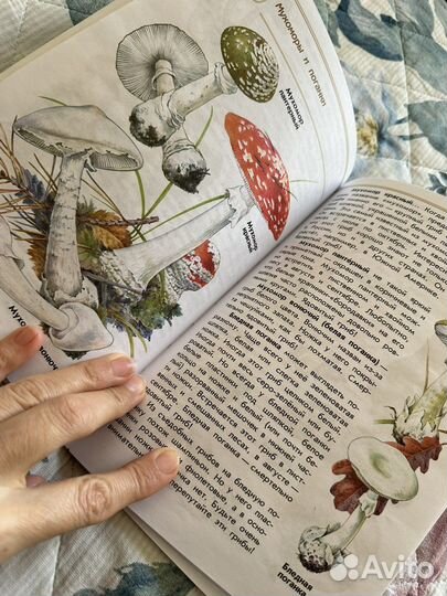 Атлас определитель А.А. Плешаков