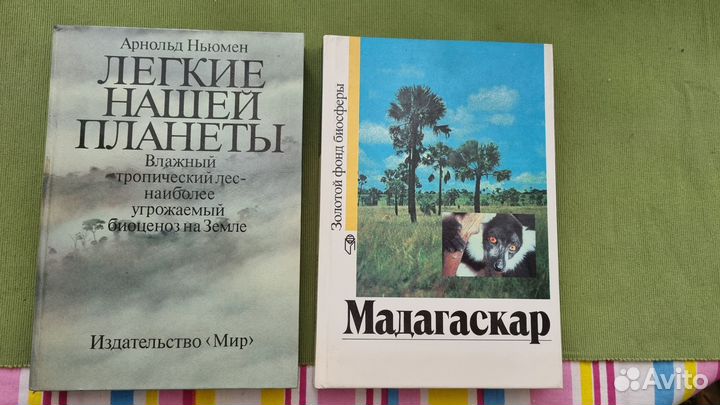 Энциклопедия для детей