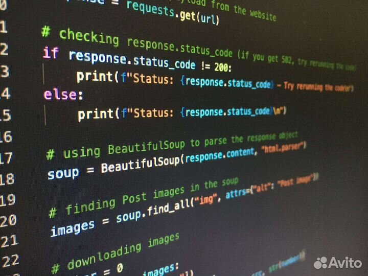 Программист на python