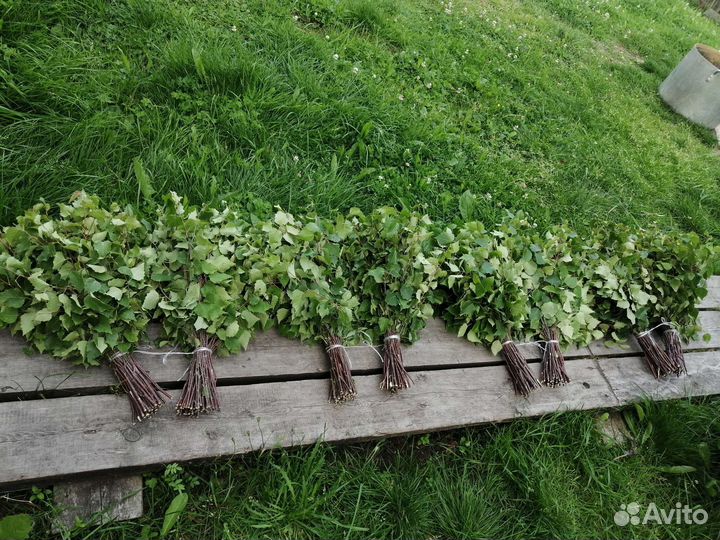 Веники берёзовые