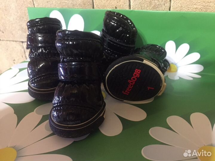 Обувь для маленьких собак