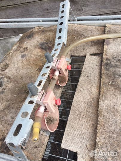 Клетки для перепелов