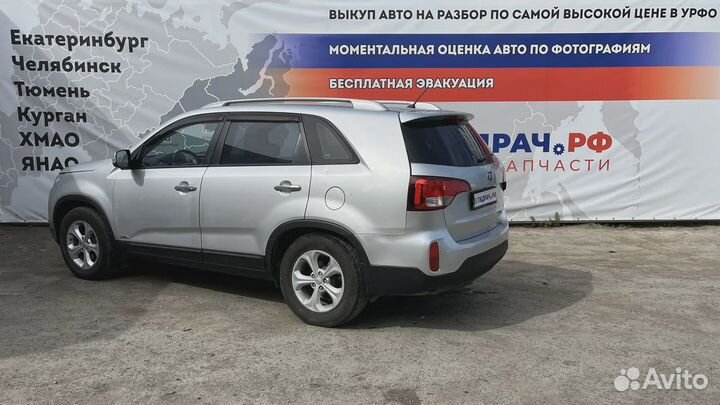 Петли двери передней левой Kia Sorento (XM)