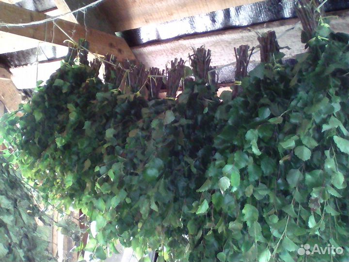 Берёзовые веники, веники для бани,банные веники