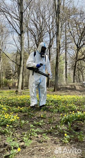 Обработка от ос, шершней, комаров, мошек