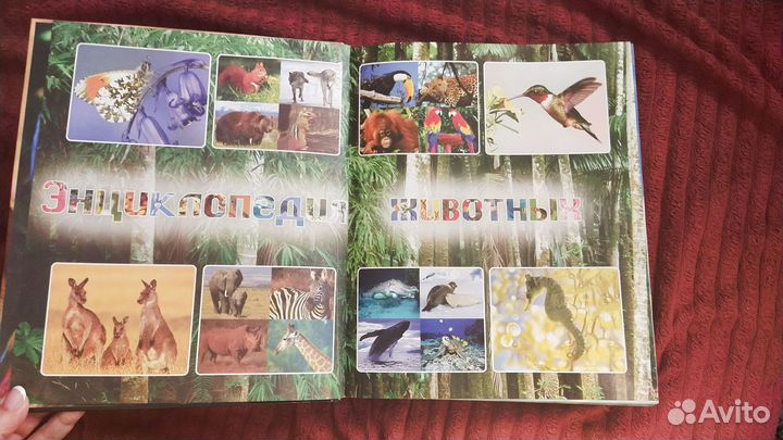 Энциклопедия животных