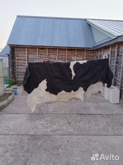 Шкура коровья