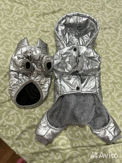 Одежда для собак мелких пород