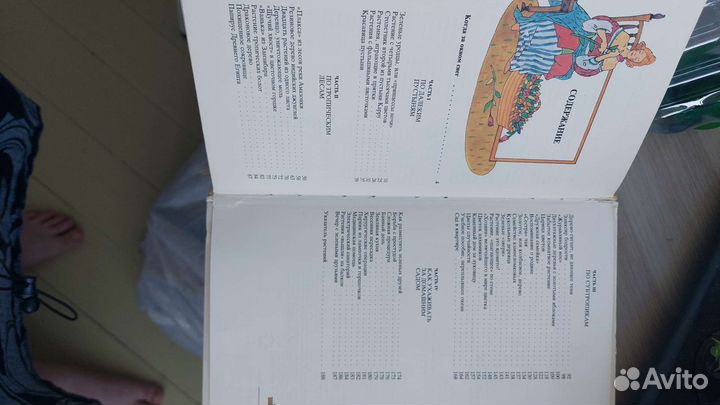 Верзилин Н. Путешествие с домашними растениями