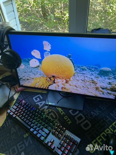 Монитор 165 гц asus 24