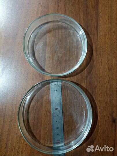 Чашка Петри