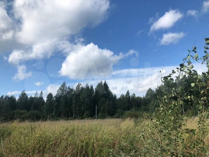 Участок 13 сот. (СНТ, ДНП)