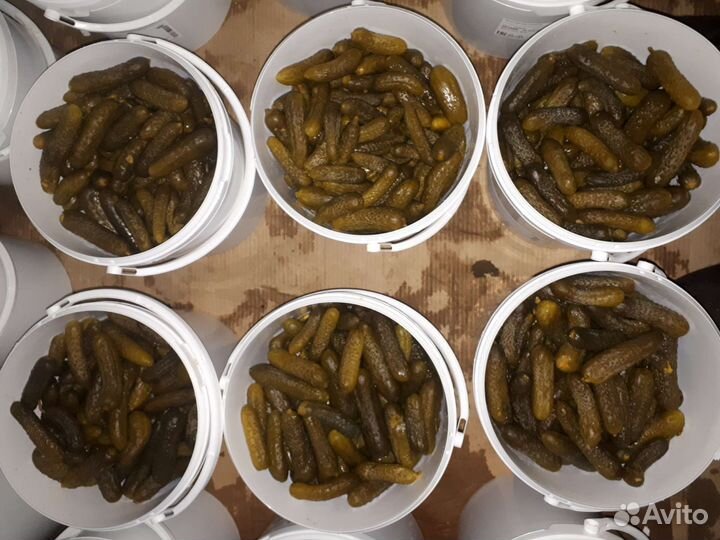 Огурцы бочковые, хрустящие очень вкусные