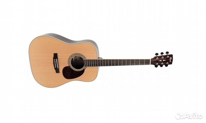 Cort Earth - серия отличных гитар из массива ели