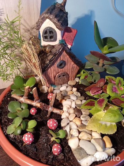 Композиция из комнатных растений. Мини-садик