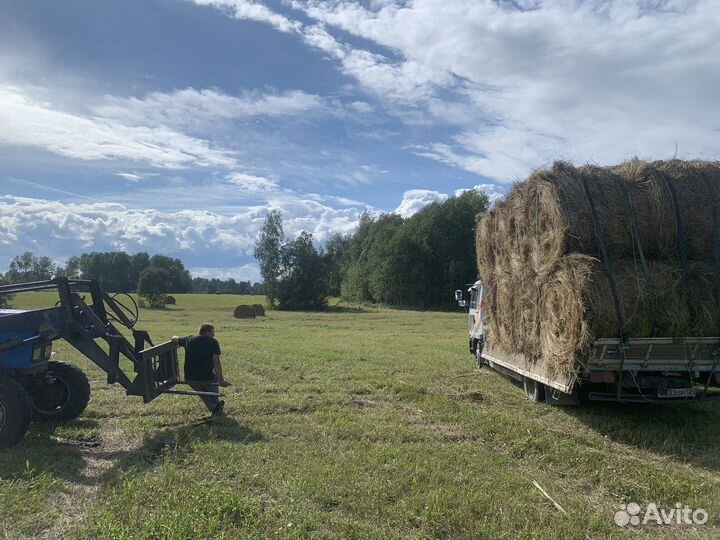 Сено в рулонах с доставкой