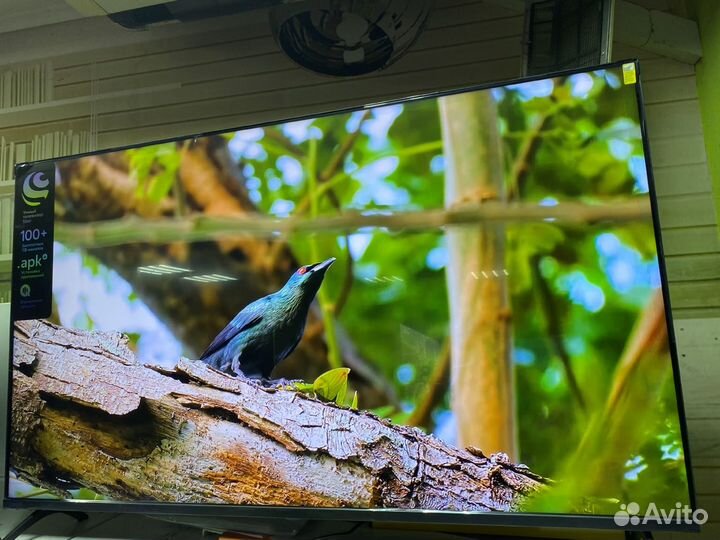 Новый qled 126 см бесплатный SMART