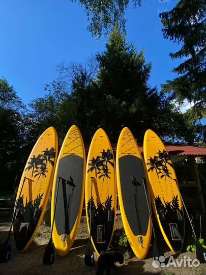 Sup board аренда