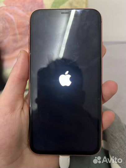 iPhone Xr, 64 ГБ