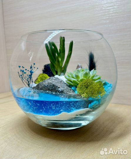 Флорариум с суккулентами - дизайн, интерьер