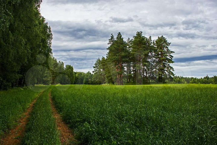 Участок 4,72 га (ИЖС)