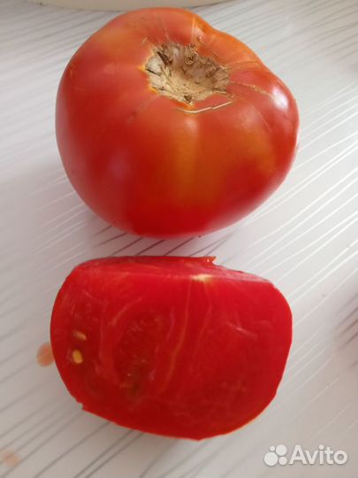 Рассада помидор, томатов