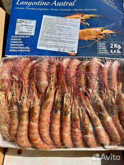 Лангустины(креветка аргентинская)