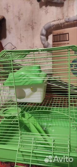 Клетка для джунгарика