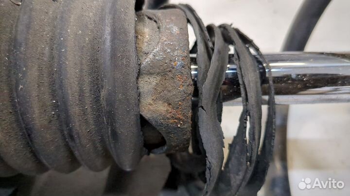 Амортизатор подвески Nissan X-Trail (T30), 2004