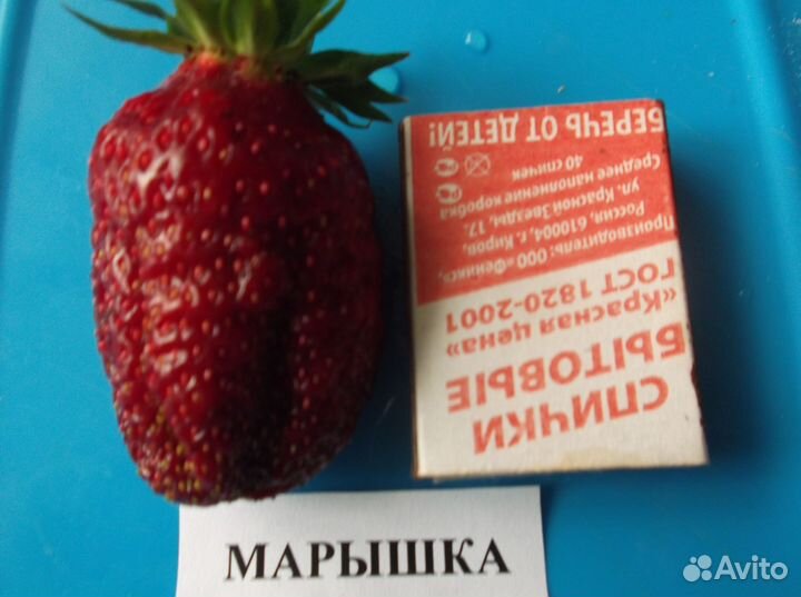 Клубника и малина, земляника