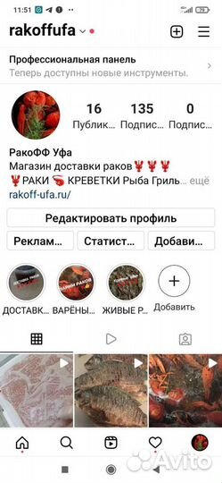 Крабы Камчатский Стригун Волосатик