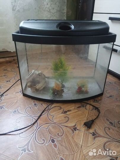Аквариум