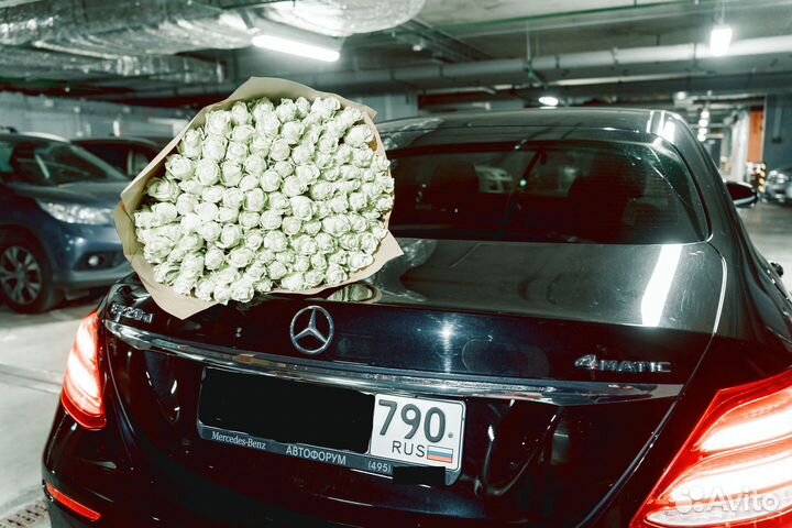 Розы, букет цветов, 101 роза, 51 роза Розы опт