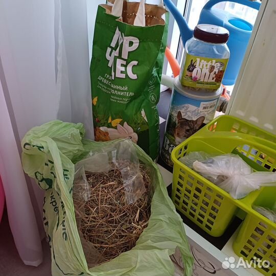 Хомяк с клеткой