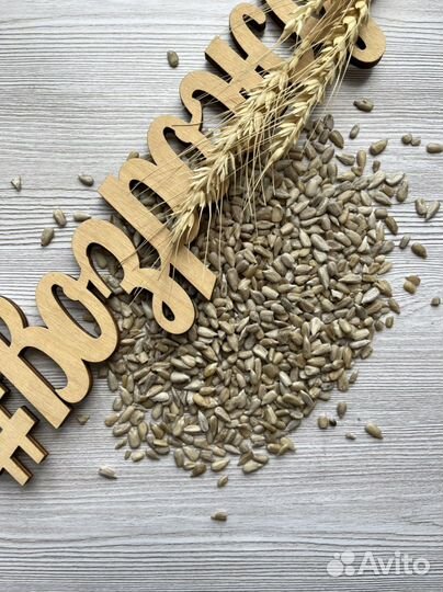 Ядро подсолнечника